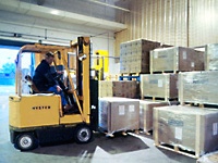 Warehouse Procedures and GMP